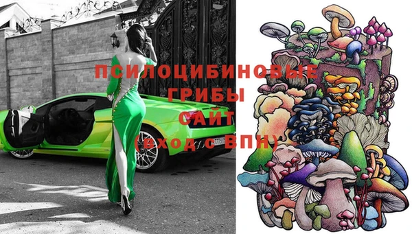 дурь Надым