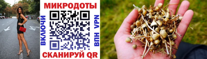 Купить  Мезень  Псилоцибиновые грибы мицелий 